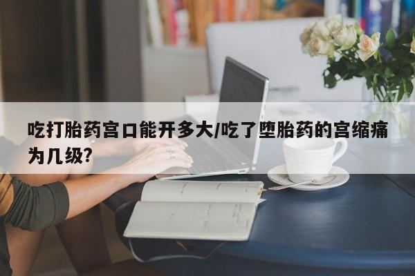 药流药购买吃打胎药宫口能开多大/吃了堕胎药的宫缩痛为几级?