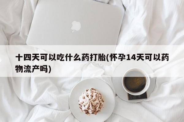 药流药购买十四天可以吃什么药打胎(怀孕14天可以药物流产吗)