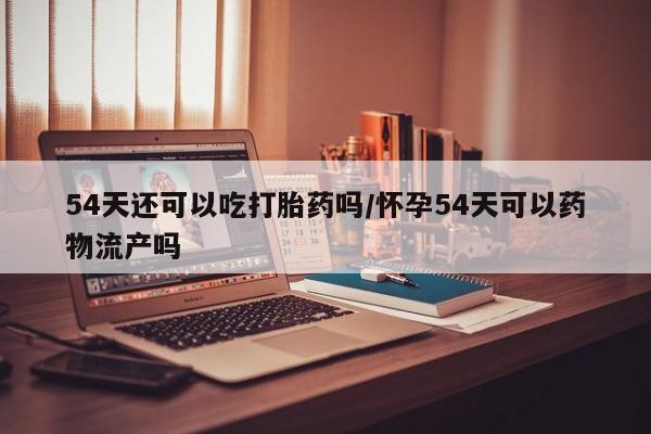 药流药购买54天还可以吃打胎药吗/怀孕54天可以药物流产吗
